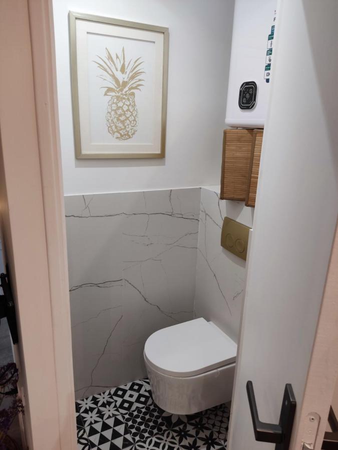 Superbe Appartement Avec Jacuzzi Avec Jardin Prive Lyon Exterior foto